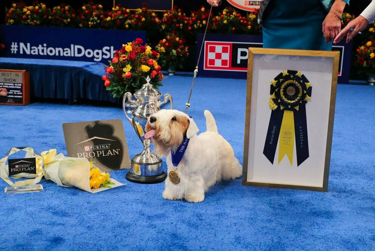 Who won the 2023 National Dog Show?